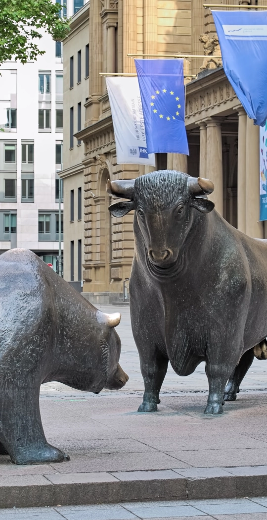 Bulle und Bär